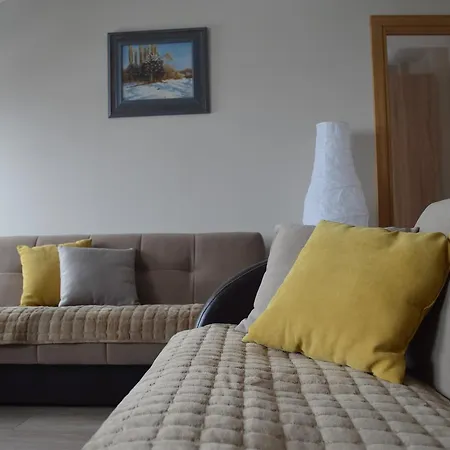 Penjisevic 아파트 *